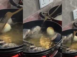 Nigerian Lady Sh0cks Boyfriend By Frying Boiled Eggs During Visit (VIDEO)