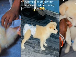 Nigerian Man Coddles His Puppy After His Girlfriend Refused To Get Pregnant For Him (VIDEO)