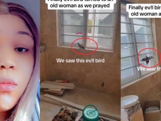 Nigerian lady claims evil bird turned into old woman after prayer