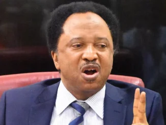 'He can now rest, regain some weight' - Shehu Sani on Ngelale's resignation