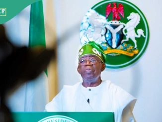 Independence Day: Nigerians React to Tinubu's 2024 Independence Day speech