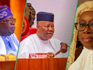 Independence: Tinubu Confers Nat'l Honours on Akpabio, Kekere-Ekun, 3 Other Top Politicians