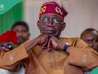 Nigeria at 64: Tinubu-Led Administration Attracts Over $30 Billion in Foreign Direct Investment