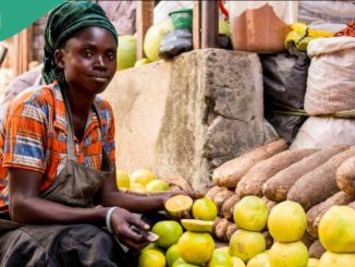 Prices of Bread, Other Food Items to Crash as N96.3 Billion Worth of Maize, Wheat Arrive in Nigeria