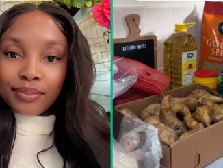 Nigerian Lady in United Kingdom Goes to Market With £200, Shows Plenty Food Items She Bought