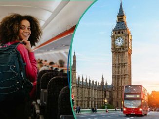 UK Work Visa: More Companies Ready To Sponsor Skilled Nigerians, Govt Releases List