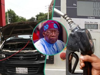CNG: FG Gives New Order to Filling Station To Begin Sale of Fuel Priced at N200