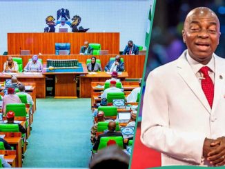 Oyedepo to Lose Living Faith Church Airstrip Licence As Reps Give Fresh Order to Keyamo