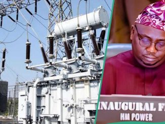 Blackout: Jubilation As Electricity Is Restored in 4 Northern States, Details Emerge