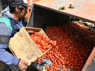 Bolivia's breadbasket squeezed by pro-Morales blockades