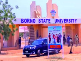 Borno State University gets new VC