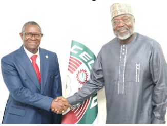 ECOWAS Court Strengthening Citizen Justice Through Institutional Cooperation