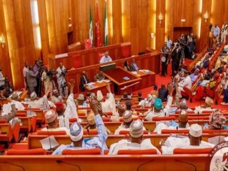 Senate demands full compliance with Supreme Court decision on LG autonomy