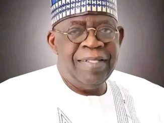 Tinubu's commitment to financial reforms worthwhile — Senator Lado