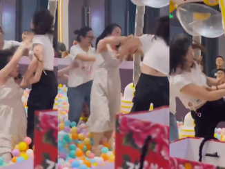 Two Mothers F!ghting In A Ball Pit Sh0cks Onlookers And Online Viewers (WATCH)