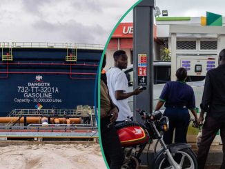 N1,100/litre: Expert Exposes Petrol Pricing Calculations Fraud in Nigeria, Defends Dangote Refinery