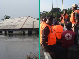 321 Dead, 740,000 Displaced Due to Flooding in Nigeria, NEC Gives Solution