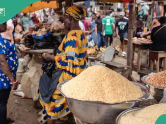 2 in 3 Nigerian Households Lack Money for Healthy Food New Report Shows