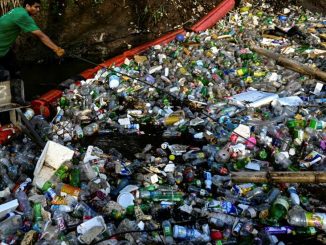 'Crucial week': make-or-break plastic pollution treaty talks begin