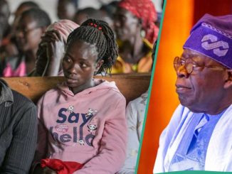 CSO Raises Alarm Over Increasing GBV Cases in Nigeria, Sends Urgent Message to Tinubu's Govt