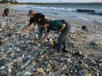 Plastic pollution talks: the key sticking points