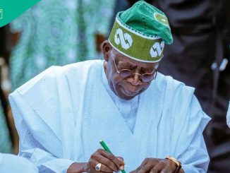 BREAKING: Tinubu Gives Appointment to Second Child of Late MKO Abiola, Details Emerge