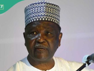 ‘Why I Championed The Division of Nigeria Into 12 States’, Yakubu Gowon Finally Opens Up