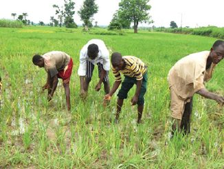 Agricultural Extension Service Bill Scales First Reading