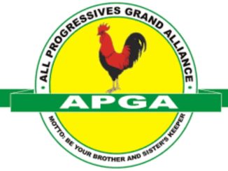 Anambra: It's misconception, he's our greatest asset - APGA dismisses Soludo's failure