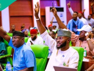 JUST IN: Amid Minimum Wage Non-implementation, Lawmaker Sends Key Message to Govs, Details Emerge