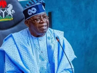 Northern Elders’ Forum Backs Governors On Tinubu’s Tax Reform Bills