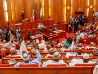 Pro-Tinubu Group Hails Senate For Passing Tax Reform Bills For Second Reading