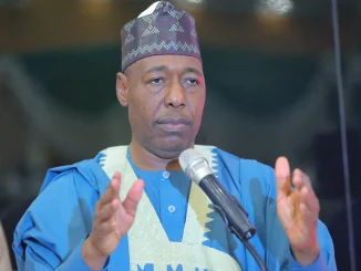 Tinubu Tax Reform bills will bring backwardness to North, benefit only Lagos - Zulum
