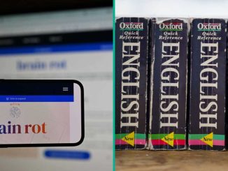 ‘Brain Rot’ Wins Oxford Word of the Year 2024, Reflecting Social Media Concerns