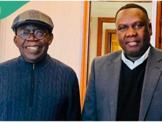 Tinubu's Tax Reform Bill: Daniel Bwala Names 1 Thing North Trying to Push