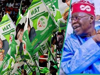 2027: Northern Plot Against Tinubu Deepens as Youths Flood Kano with Ex-President Jonathan's Posters