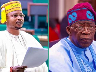Kogi Lawmaker Suggests Hausa Translation for Tinubu's Tax Reform Bill Amid Northern Opposition