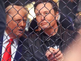 Musk's millions for Trump make him biggest US political donor