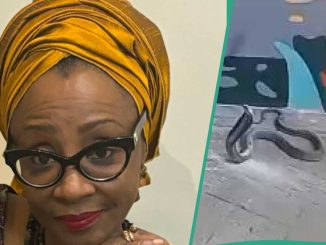 Video Shows Deadly Cobra at El-Rufai Wife’s House, “No Weapon Formed Against You Shall Prosper”
