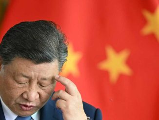Hong Kong, Shanghai rally on China optimism as Seoul rebounds