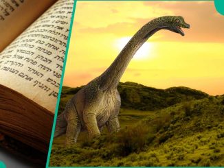 Are there dinosaurs in the Bible? Here's what the Bible says about these creatures