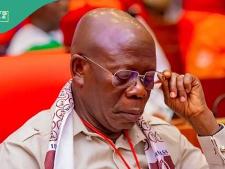 Christmas Palliative: Oshiomhole Distributes 11,000 Bags of Rice to Constituents in Edo North