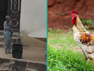 Pastor Blows Hot, Rains Curses on Whoever Stole His N30k Fowl, Video Sends Nigerians into Frenzy