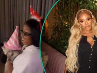 Ex-BBNaija Housemate Angel Throws Birthday Party For Cat, Fans React: “You Play Too Much"
