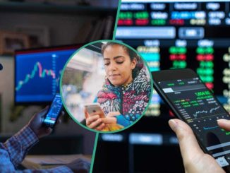 Year-end Review: Top 10 Naira Stocks That Made Investors Richer in 2024