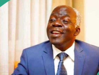 Ibadan, Abuja, Anambra Stampedes: Falana Blames Police, Gives Major Reasons