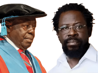 Alleged Defamation: It's A Long Journey For Farotimi And Babalola, Issue Has Divided Nigeria Into Two - Nzeakor