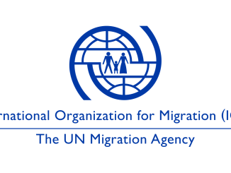 IOM Partners Adamawa Govt To Relocate IDPs
