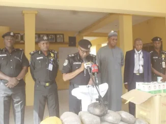 Jigawa Police arrest 1,254 suspects, recover stolen goods [PHOTOS]