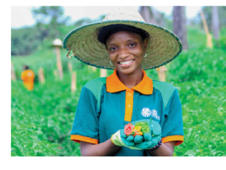 Leveraging Tech, Innovation For High-Quality Produce In Farming